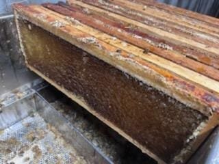 Close-up of honeycomb frames filled with honey, showcasing the natural wax structure and capped cells, used in beekeeping and honey extraction processes.