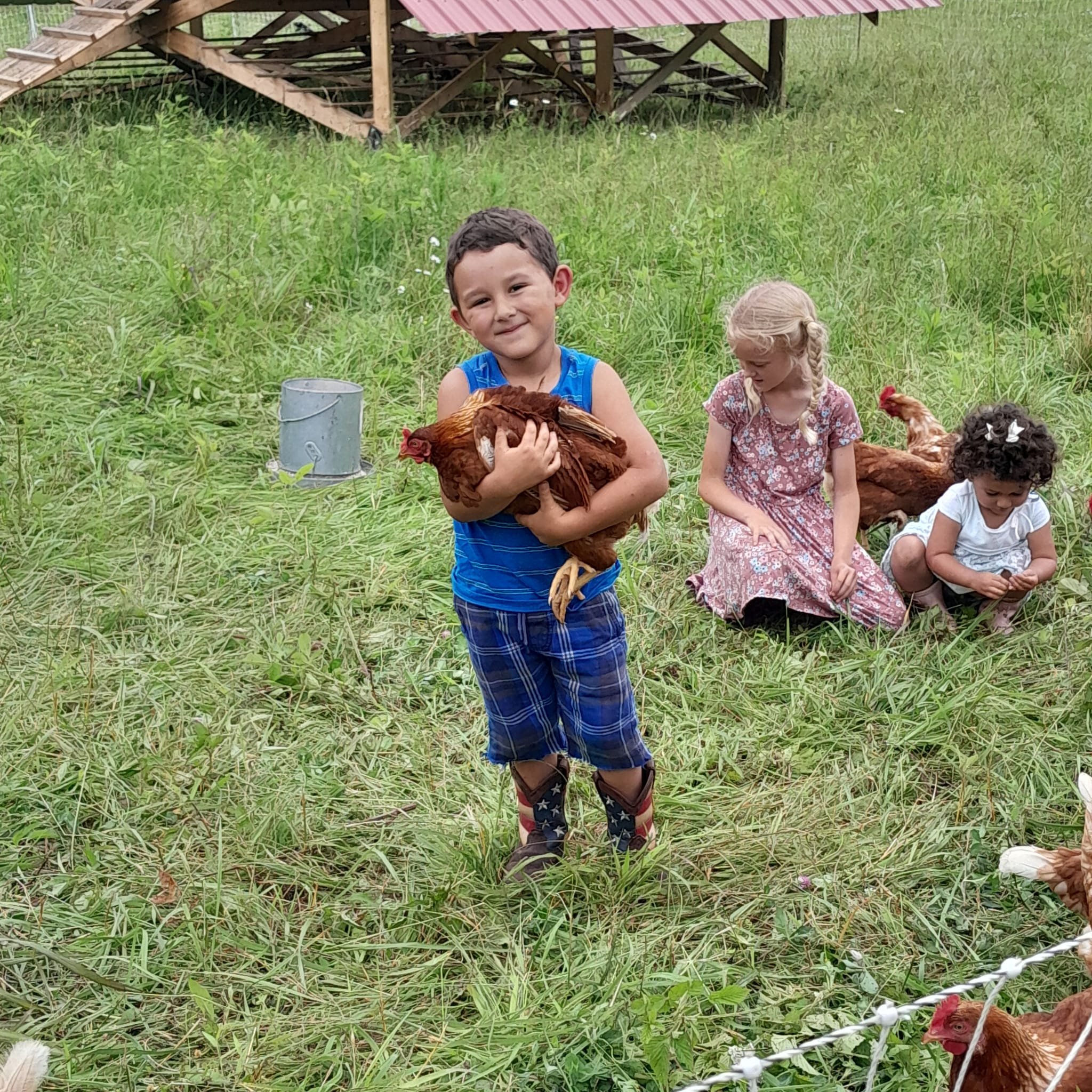 Child holding a chicken in a grassy field, with two other children sitting nearby, engaged with more chickens. A wooden structure is visible in the background, indicating a farm setting.