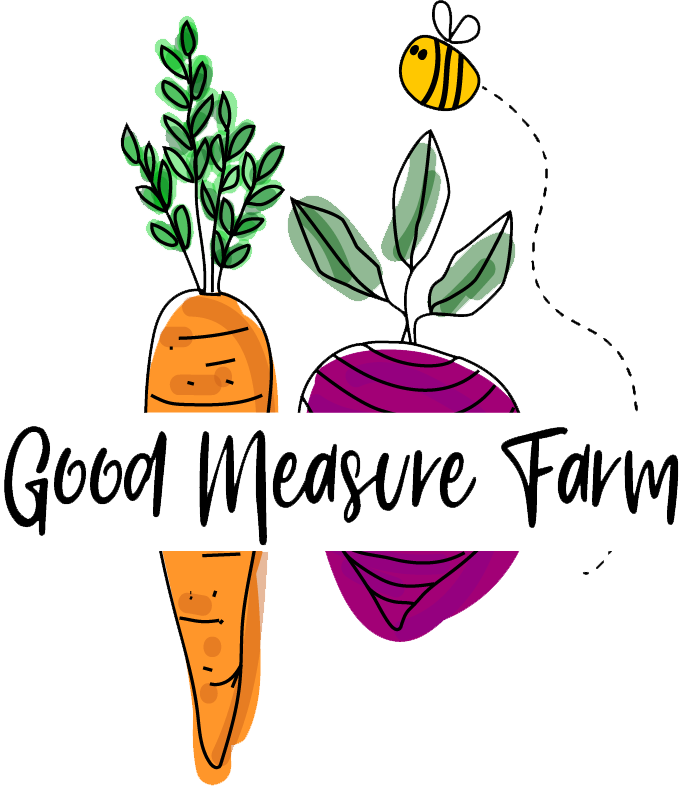 Colorful illustration of a carrot and a beet with green leaves, accompanied by a buzzing bee, featuring the text "Good Measure Farm" in a playful font, representing a farm focused on fresh produce and sustainability.